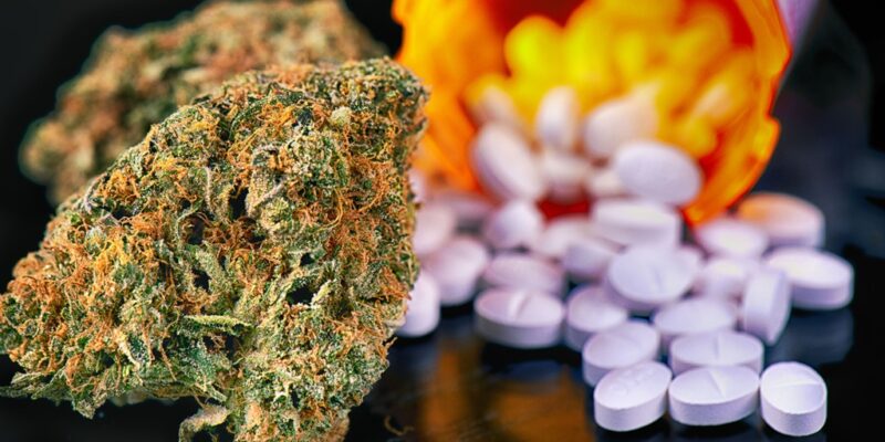 Symbolbild Cannabis und Opioide